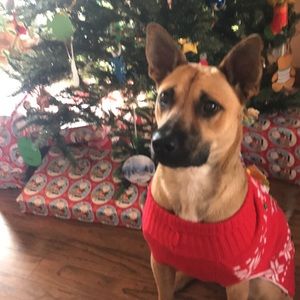 Meet your Posher, Sam